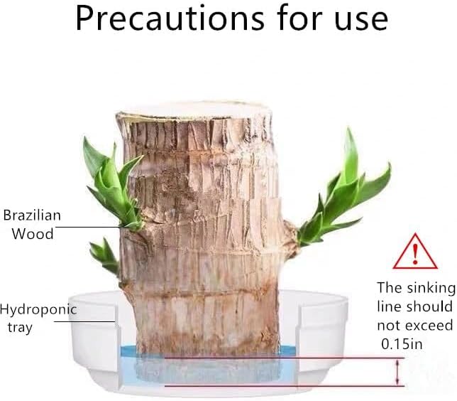 Brazilian Lucky Wood & Lucky Growth Kit,Grow Your Own Luck,Mini Sculpture Art,Good Luck Offices, Kitchens, Living Rooms, Home Decorations (C)
