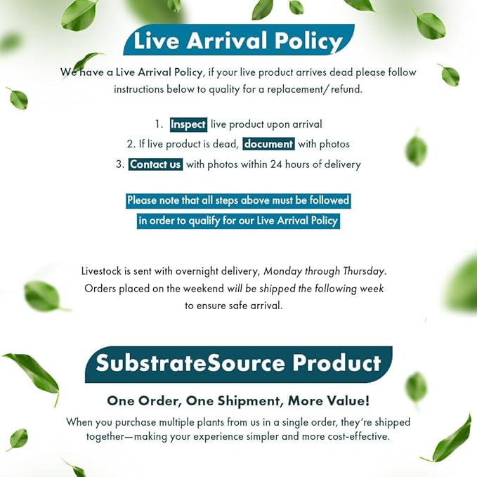 SubstrateSource Live Plants – Variegated Hygrophila (Nomaphila variegatus) – Medium Light, Green and White Accent Freshwater Aquatic Stem Plant, Midground to Background Placement – Pot, 1 Pack