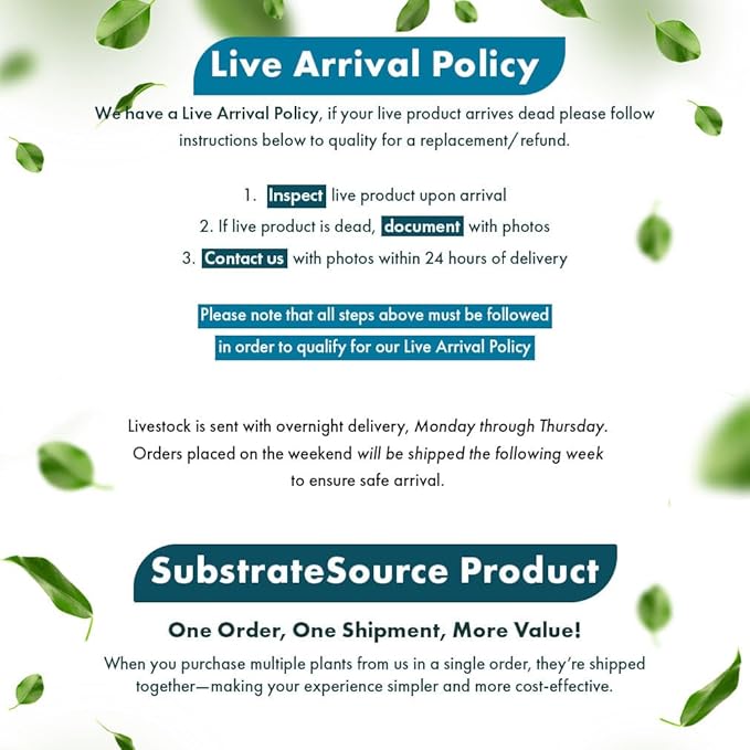 SubstrateSource Live Plants – Bucephalandra Belindae (Bucephalandra belindae) – Low to Medium Light, Dark Iridescent Green Color, Foreground to Midground Placement, Rhizome Growth - Loose, 1 Pack