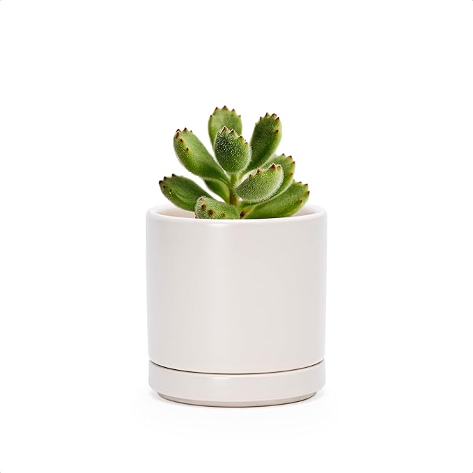 D'vine Dev 3.5 Inch Ceramic Planter Pot with Drainage Hole and Saucer, Indoor Cylinder Round Planter Pot, Oatmeal, 94-O-A-8