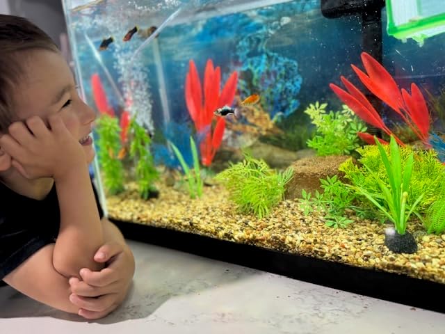 Aquarium Stone for Natural Water Clarification and Odor Removal (Medium)