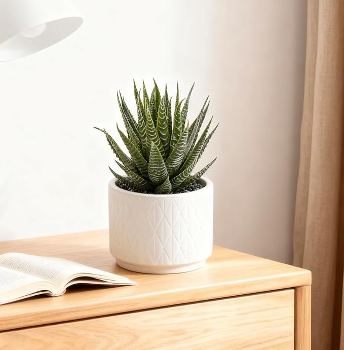 Kurrajong Farmhouse Artificial Succulent Plant in Matte White Ceramic Pot | Dark Green Aloe Plant | Great as Desk Decor or Bathroom Decor | Beautiful Realistic Faux Succulent with no Maintenance