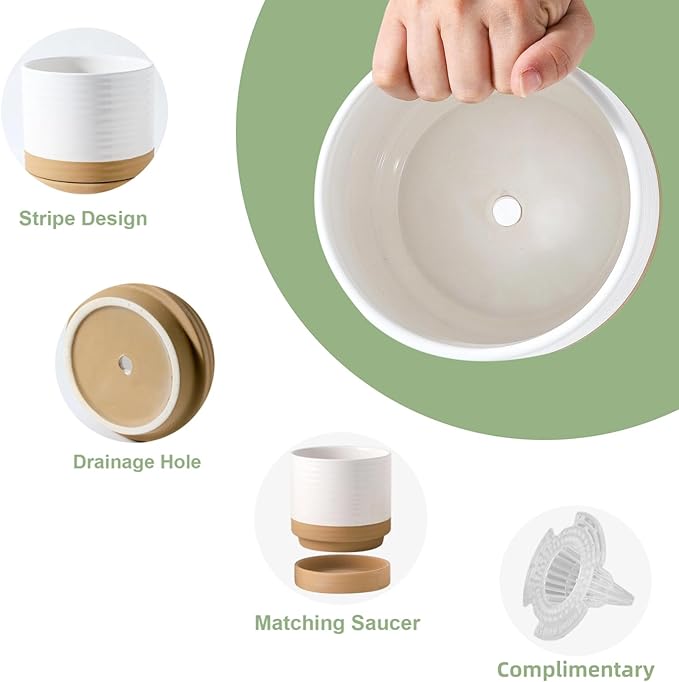 Hasense Small Plant Pot, 4.6 Inch Ceramic Succulent Flower Pots with Drainage Hole and Tray, White Indoor Planter Pot for Cactus, Gardening Home Desktop Office Windowsill Decoration Gift, Set of 4