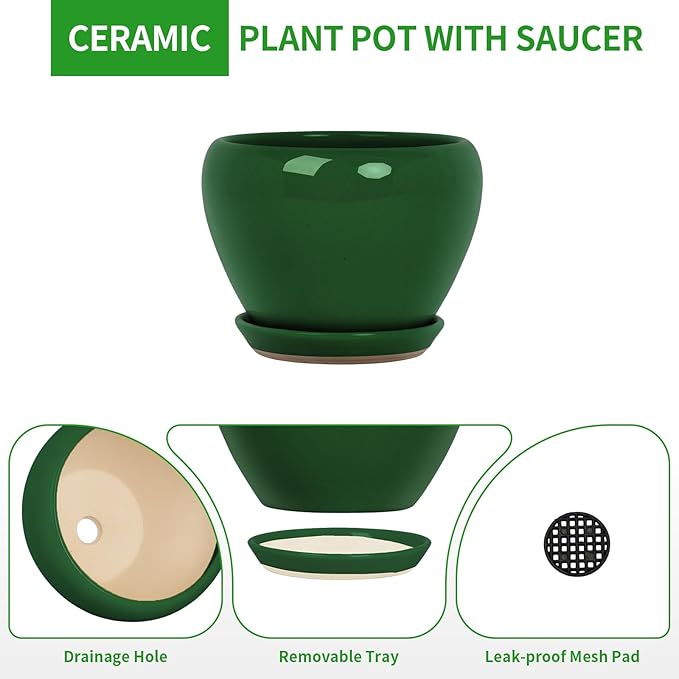 Deep Dream 6 Inch Plant Pots- Ceramic Planter Pot with Drainage Hole and Saucer, Round Flower Pot for Indoor Outdoor Succulent, Snake Plants and Cactus, Green