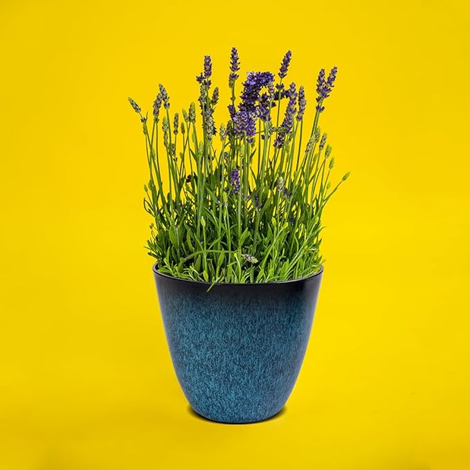 3Pack Plant Pots Durable Decorative Flower Pots,6 Inch Planter Set for Indoor and Outdoor Plants,Flowers,Succulents (Blue)