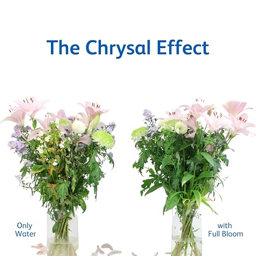 Chrysal Full Bloom Liquid Flower Food - Clear, Concentrated Formula for Flower Arrangements & Bouquets - Mix with Water - Ideal Florist Supplies & at-Home Use - 500mL Bottle (1 Pack)