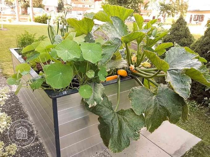 Christina 2.5 ft Tall Raised Garden Bed (3.9'W x 3.9'L), Anodized Aluminum