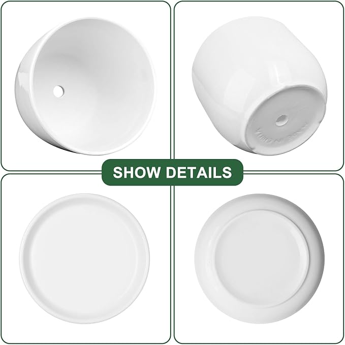 Ceramic Plant Pots,White 6.7 Inch Flower Pots for Plants,Ceramic Planter with Drainage Holes,Indoor Planter Pots with Saucer,Outdoor Garden Pots (White, 2 Pack)