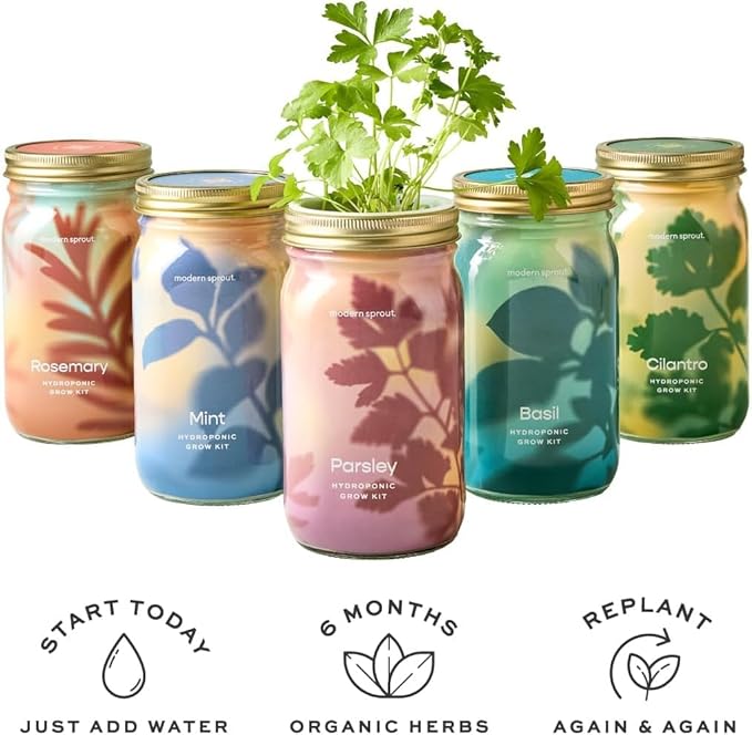 Modern Sprout Mason Garden Jar - Self-Watering Hydroponics Growing System Kit with Organic Herb Seeds - Jar Planter for Indoor Herb Garden - Seed Starter Kit - Home Decor & Gifting - Lavender+Rosemary