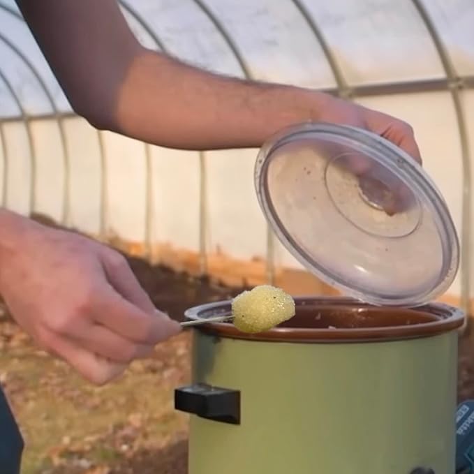 North Spore Organic Lion's Mane Outdoor Mushroom Log Growing Kit | Includes 100 ct. Bag of Plug Spawn | Complete Log Starter Kit with Instructions | Handmade in Maine, USA