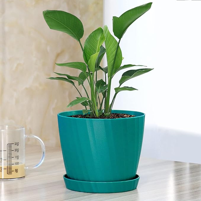 6 Inch Plant Pots Bulk, 6 Pack Plastic Planters with Drainage Holes and Saucers for Indoor Outdoor House Plants and Flowers, Green