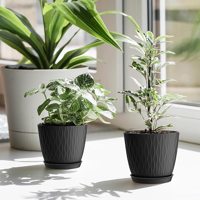6 Inch Plant Pots, 6 Pack Flower Pots for Indoor and Outdoor Use, Planters with Drainage Holes and Saucers, Black
