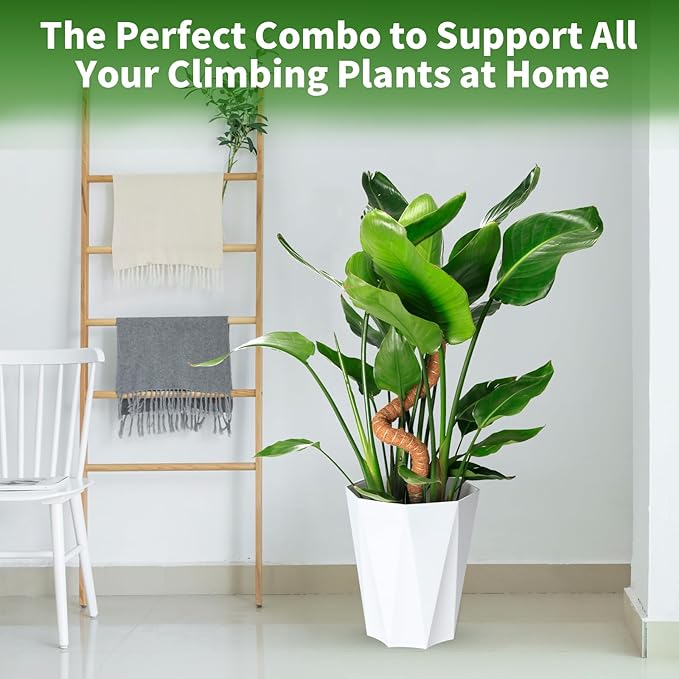 Moss Pole Set for All Growth Stages – 2 Pack 28” Bendable Moss Poles & 2 Pack 12” Stackable Coir Poles, Moss Pole Monstera Plant Support for Pothos, Philodendron, Indoor Climbing Plants