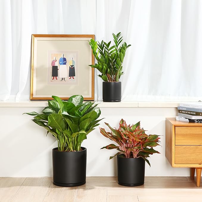 Kazeila Plant Pots Ceramic Planter for Indoor Outdoor Plants Flowers 10 Inch Matte Black Large Cylinder Flower Pot with Saucer and Drainage Hole,Glazed Finish Interior and Exterior