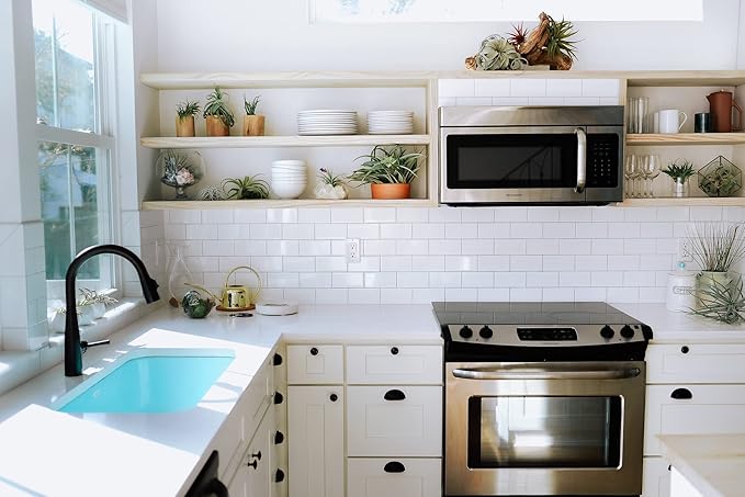 Air Plant Shop Cork Bark Planters with Assorted Air Plants- Wholesale and Bulk - Succulents - Live Tillandsia - Easy Care Indoor and Outdoor House Plants