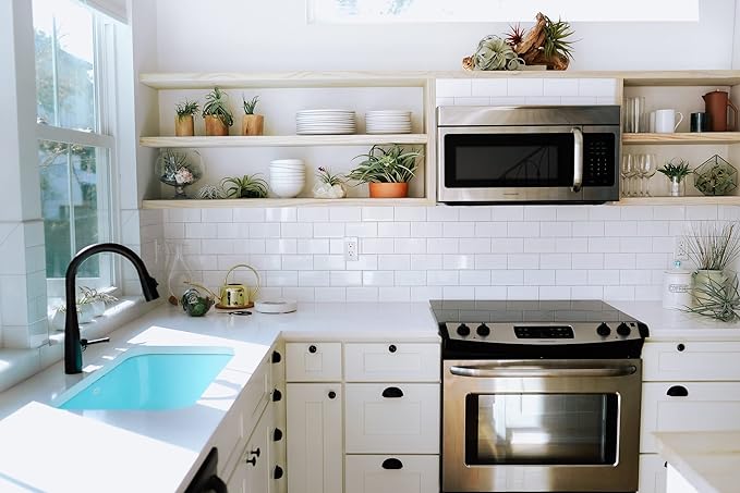 Air Plant Shop Cork Bark Planters with Assorted Air Plants- Wholesale and Bulk - Succulents - Live Tillandsia - Easy Care Indoor and Outdoor House Plants