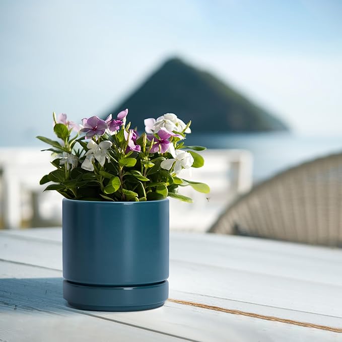 D'vine Dev Set of 4 Small Ceramic Plant Pots, 4.7 Inch Succulent Planter Pot for Plants with Drainage Hole and Saucer, Teal, 94-X-B-9