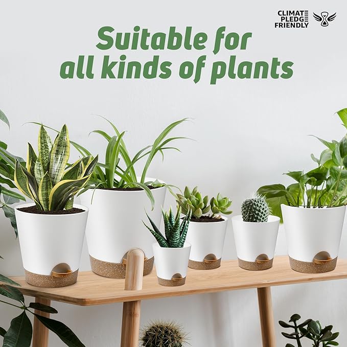 Indoor Self Watering Planters with Drainage Holes and Saucers, 8, 7, 6.5, 6, 5.5, 5 Inches, White, 6 Pots
