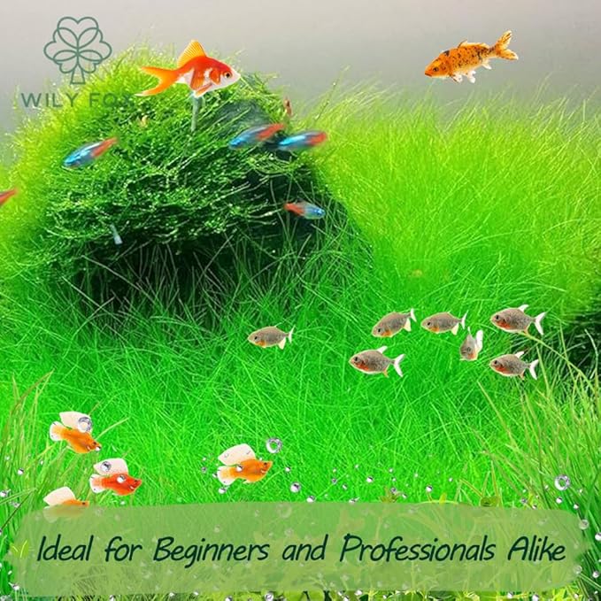 Premium Aquarium Plant Seeds for Planting ā 13,000+ Live Mixed Seeds, 8 Varieties ā Easy-to-Grow Aquatic Greenery for Lush, Vibrant Fish Tanks