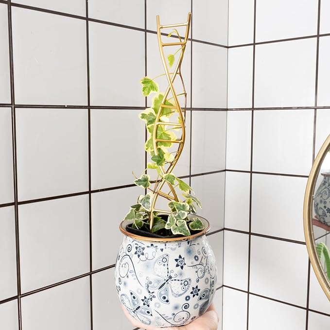 3PCS DNA Plant Trellis Indoor and Outdoor - Lightweight Metal Trellis for Potted Plants, Hoya & Pothos Climbing Support, Artistic Geometric Design, Durable & Easy Installation