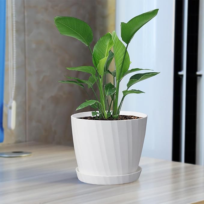 6 Inch Plant Pots Bulk, 6 Pack Plastic Planters with Drainage Holes and Saucers for Indoor Outdoor House Plants and Flowers, White