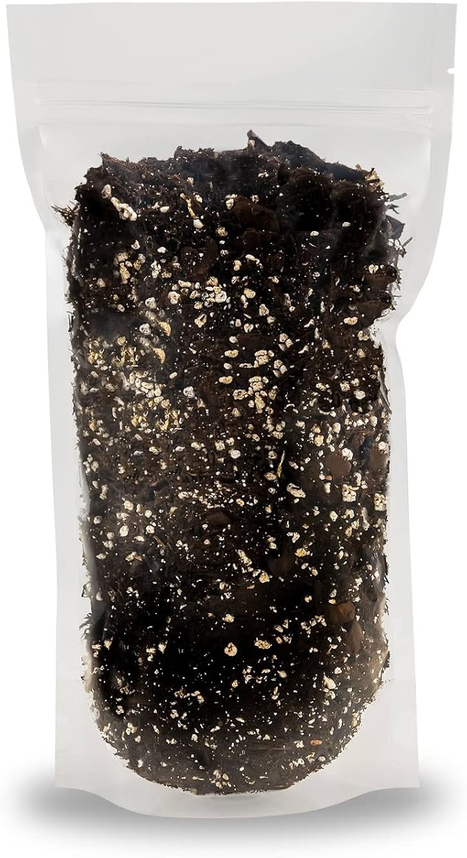 Premium Gardenera House Plant Potting Mix | Fern + New Zealand Bark + Perlite | Great for Pothos, Spider Plants, Montsera, Philodendron, English Ivy - 2 Quart Bag