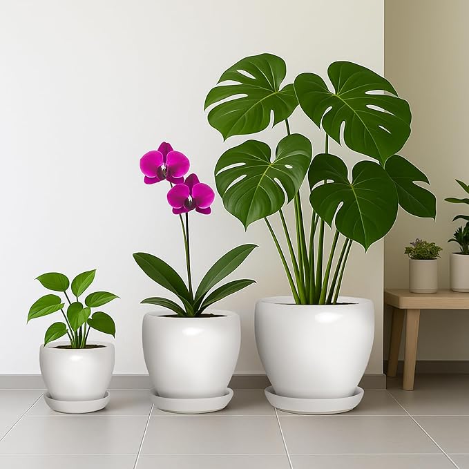 Deep Dream 10 Inch Plant Pot- Ceramic Planter Pot Round Plant Pots for Indoor Plants Outdoor Large Flower Pot with Drainage Holes & Trays, White