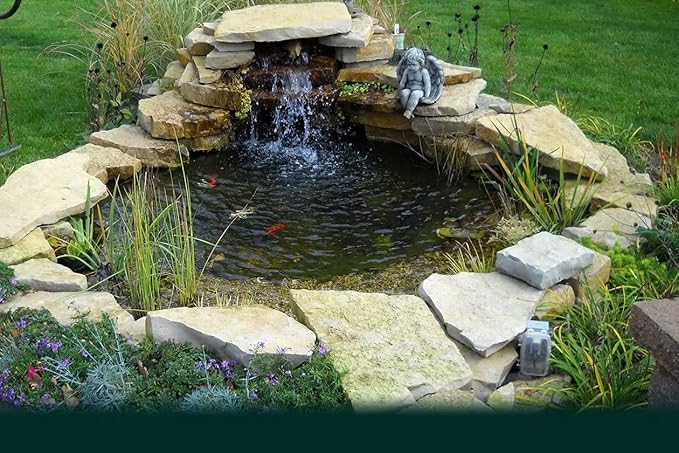 Custom Pro 6x8 Foot DIY Pond Kit with 2,200 GPH Pump, Filter, Liner, Skimmer, Instructions and More - Create a Pond with a Waterfall