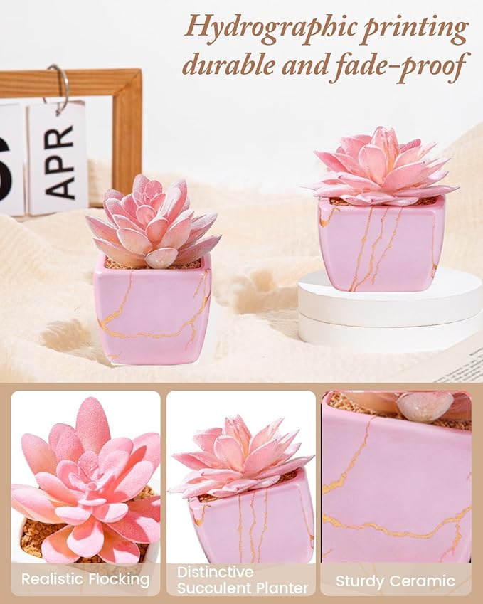 Artificial Succulent in 2PCS Pink Ceramic Pot, Small Fake Succulents Plants for Office and Desk Decor,Bathroom