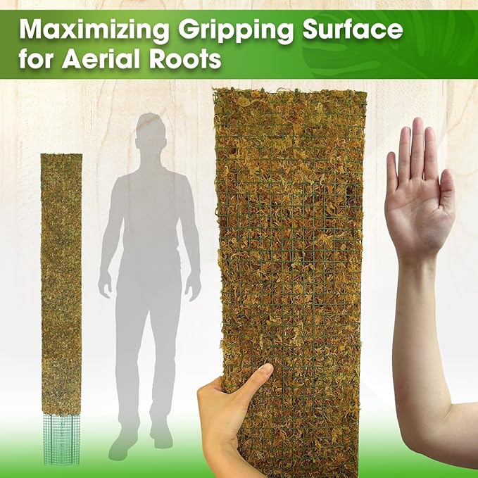 DUSPRO 59āā Flat Mesh Moss Poles for Climbing Plants Monstera Flat Stacks for Tall Plant with Real Moss Moss Pole for Indoor Plants Plant Stick Support Tall Indoor Plants Support Stakes (1pc., 59'')