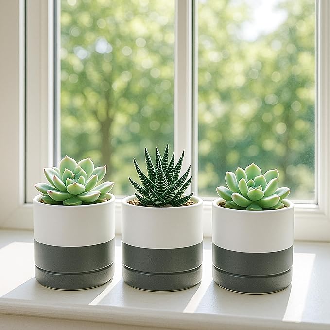 D'vine Dev Set of 4 Small Ceramic Plant Pots, 3.5 Inch Succulent Planter Pot for Plants with Drainage Hole and Saucer, White/Speckled Grey, 94-X-A-6