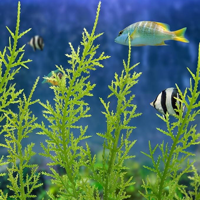 Fish Tank Accessories Large Plants, Green Fish Tank Decorations, Aquarium Decor Plastic Plants 3pcs
