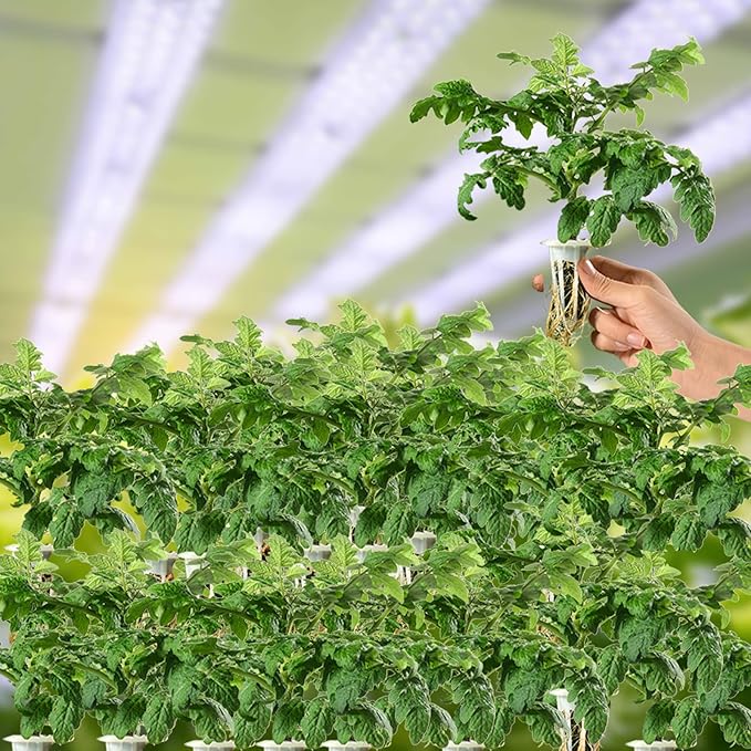 100 Pack Hydroponics Sponge,Replacementpre-Grow Sponges,Hydroponics Growing System Kit Compatible with Aerogarden sponges,Supplement pods for hydroponic Indoor Garden Growing System