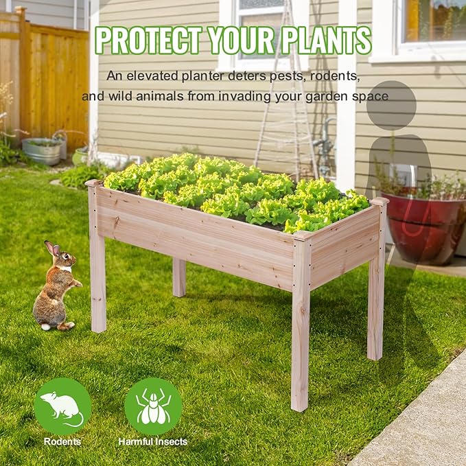 Backyard Expressions Wooden Raised Garden Bed | 48" x 24" x 30" Elevated Planter Box with Included Bed Liner | Outdoor Vegetable, Flower, and Herb Gardening