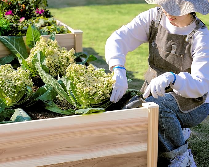 AMERLIFE Raised Garden Bed – 12x12x2 ft H-Shaped Wooden Planter Box, 180 Cu. Ft Capacity, Double-Layer Design for Outdoor Patio, Yard, and Garden Use