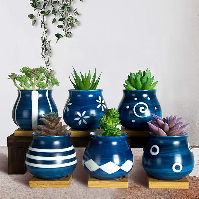 Cute Succulent Pots with Drainage Bamboo Tray - 3" Succulent Planters with Drainage Hole Ceramic Planter Tiny Pots for Indoor Small Plants, Small pots for Succulents Cactus Container Set of 6