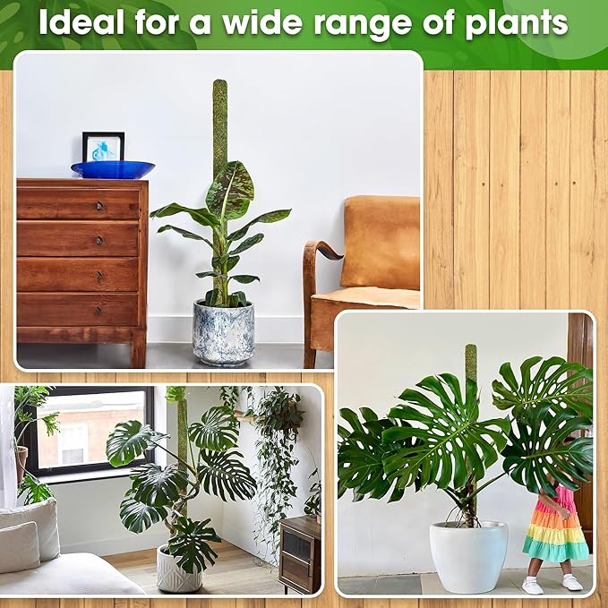 DUSPRO 59āā Large Green Mesh Moss Pole Monstera Plant Support, Tall Plant Stakes, Moss Pole for Plants Monstera, Garden Pole, Moisture Stick for Plants (1pc., 59''), Natural