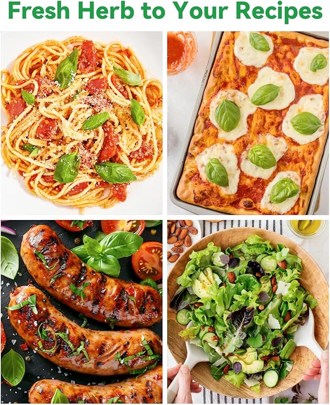 Gourmet Herb Seed Pod Kit Compatible with AeroGarden, idoo, Ahopegarden, Gardencube with Basil, Parsley, Thyme, Mint, Cilantro, Dill, Oregano, Chives - Compatible with All Hydroponics(8-Pod)