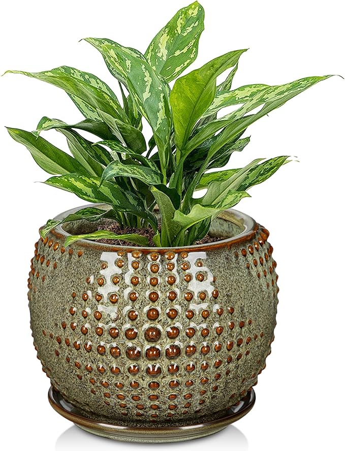 Ceramic Pot for Indoor Plants, 7 inch Plant Pot with Drainage Hole and Saucer Decorative Brown Planter with Saucer Indoor Outdoor Flower Pots for Succulent Snake Plant Pothos Orchid
