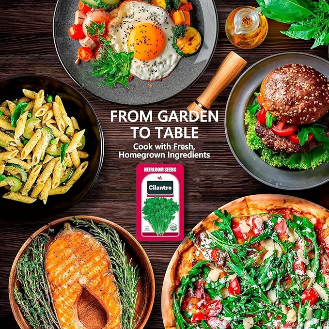 Cilantro Seed Pods for All Hydroponics Growing Systems, 12 Pods Herb Kit with 200+ Seeds of Cilantro, Grow Your Own Herb Garden at Home