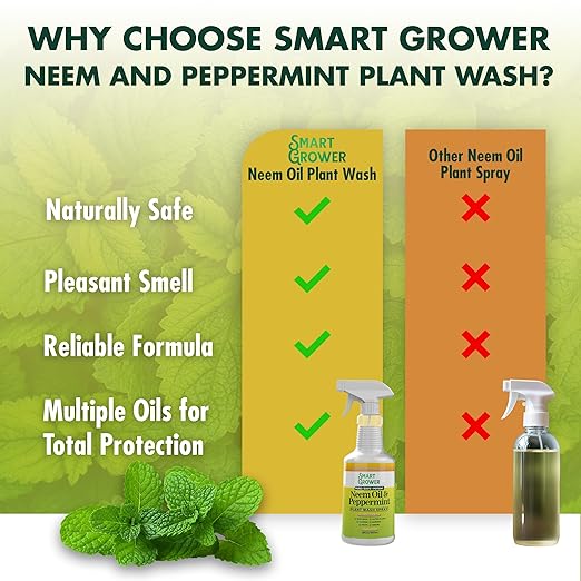 Neem Oil & Peppermint Plant Wash – Natural Leaf Cleaner & Conditioner for Indoor & Outdoor Plants – 32oz Ready-to-Use Spray