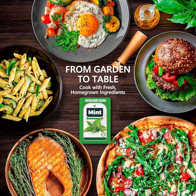 Mint Seed Pods for All Hydroponics Growing Systems, 12 Pods Herb Kit with Seeds of Peppermint, Grow Your Own Herb Garden at Home