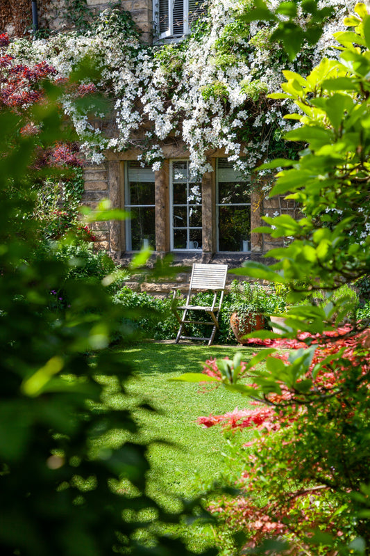 Cottage Garden Trends 2026: Plant Bulbs This Fall