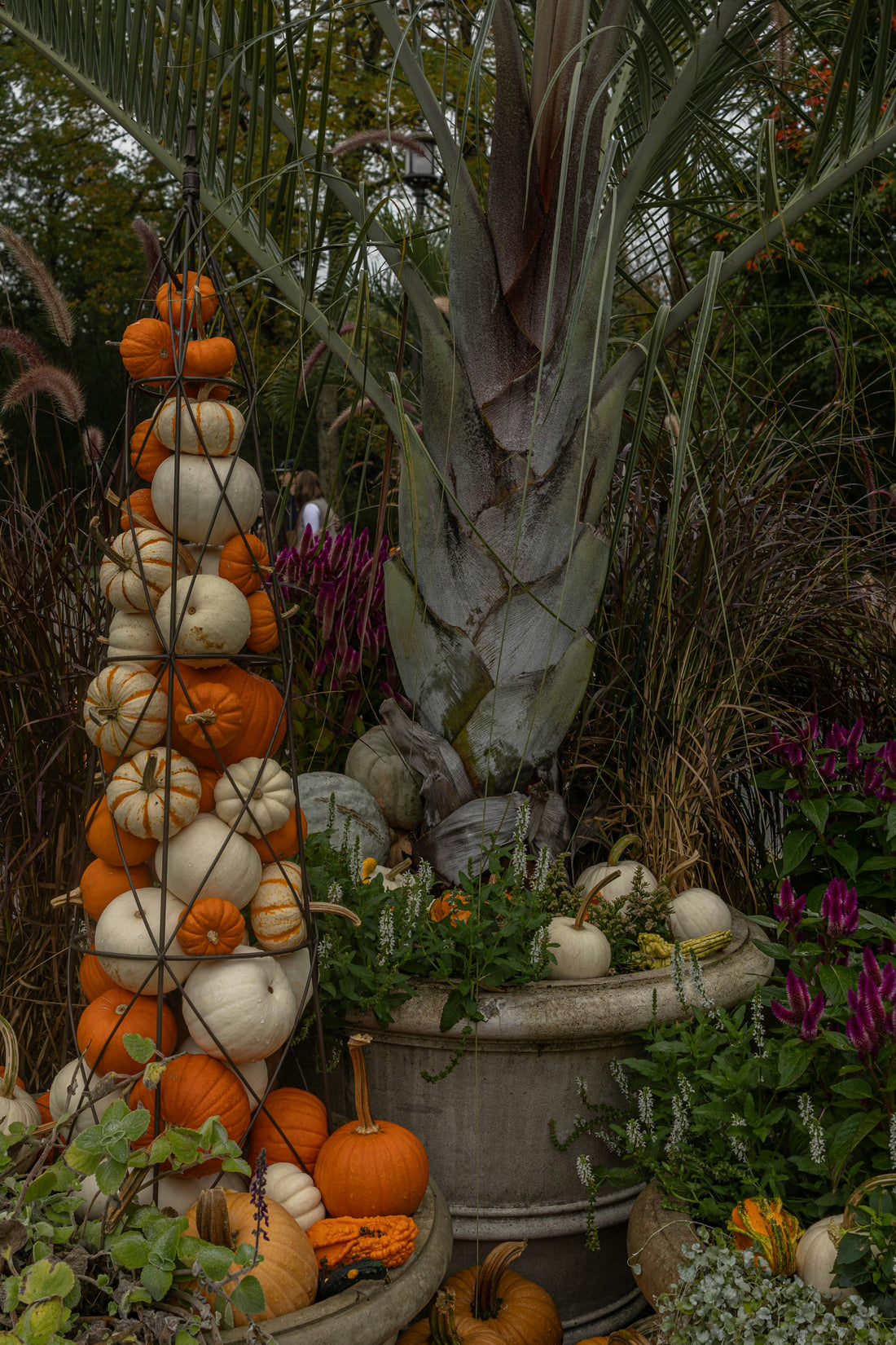 🌿 Seasonal Plant Styling: Creating a Calm Home Year-Round