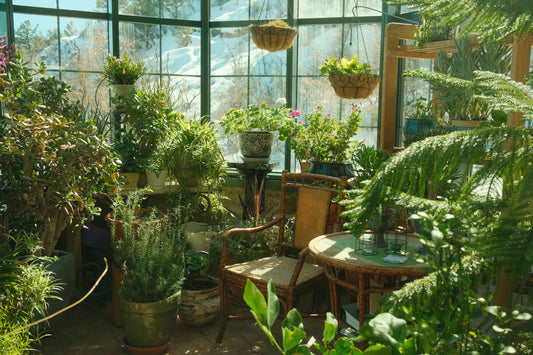 🌿 Transform Your Space: The Ultimate Guide to Curating Your Indoor Jungle
