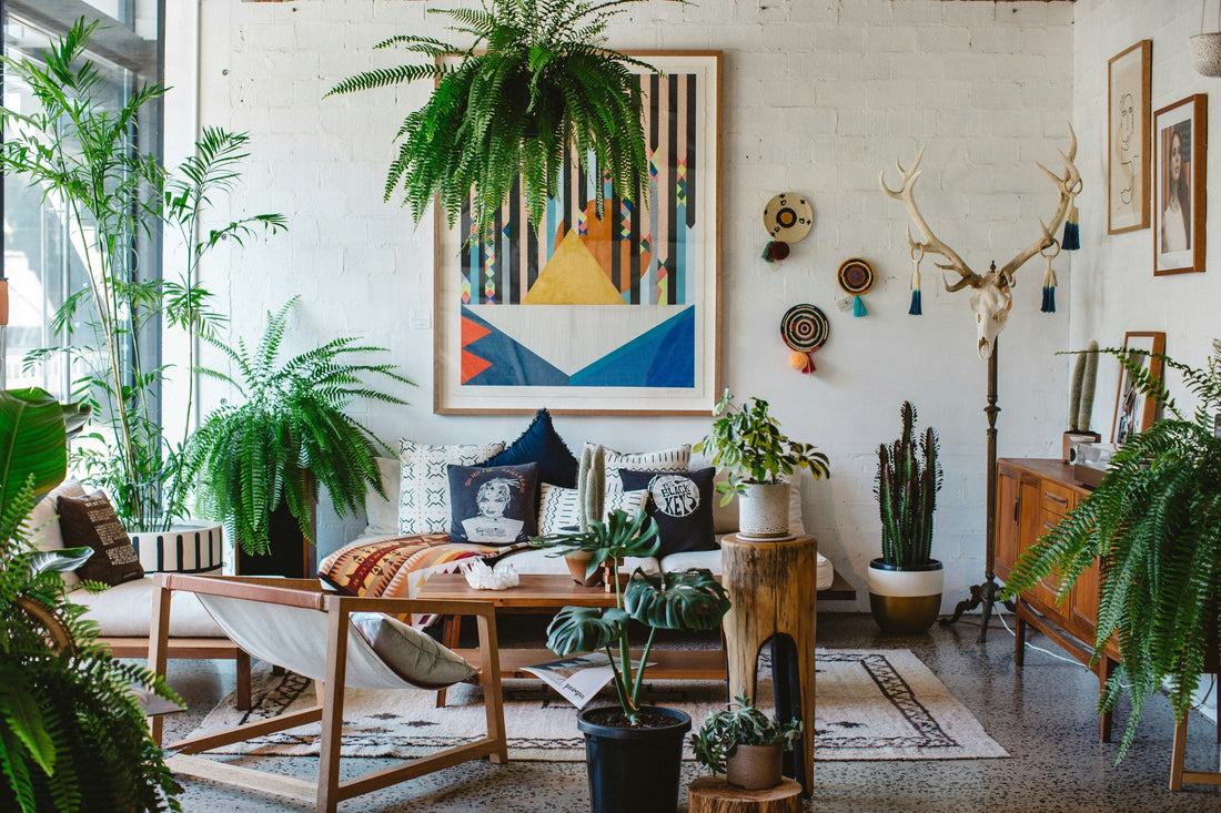 🌿 The Complete Guide to Indoor Gardening: Bringing Nature Home