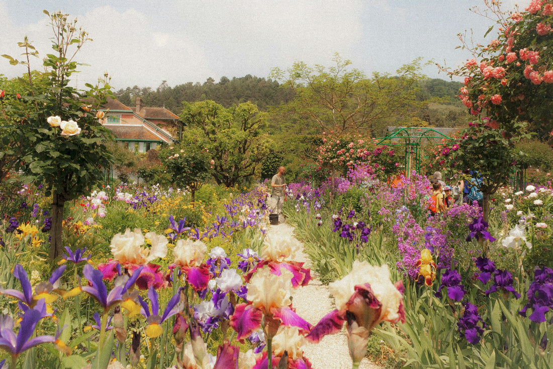 🌿 Don’t Let Spring Fever Ruin Your Garden: 11 Mistakes to Avoid