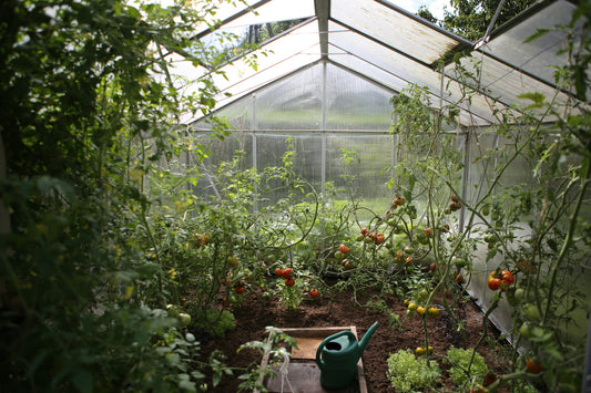 🌿 Spatial Wizardry: 7 Smart Ways to Maximize a Small Greenhouse in Compact Gardens