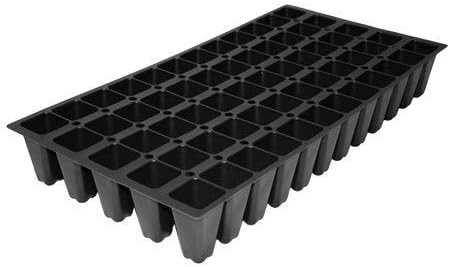 Dwarf Mondo Grass | 72 Live Plants | Ophiopogon Japonicus Nanus | Shade Loving Evergreen Ground Cover