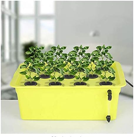 SUCOHANS 100 Pack Cloning Collars Inserts Premium Grade Foam, Cloner Collars, Better Than Neoprene for Hydroponics Plant Germination in DIY Cloner & Clone Machines, Fits 2 Inch Net Cups (Black)